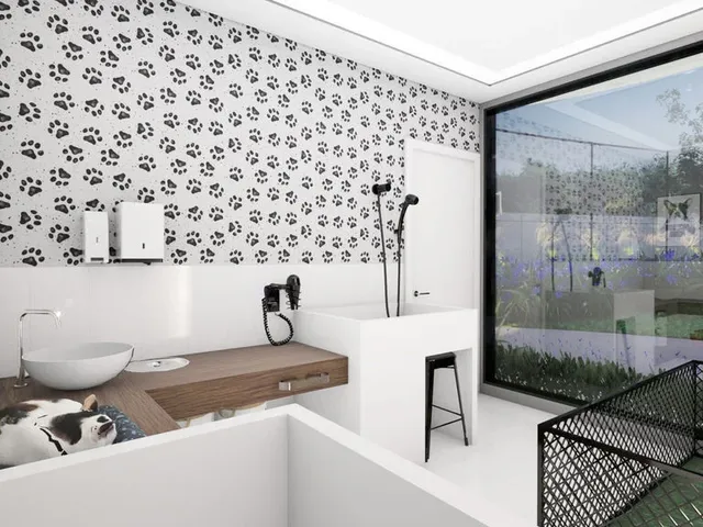 Imagem 16: Apartamento no bairro Gloria, Joinville