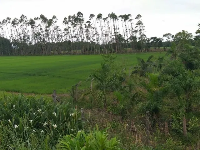 Imagem 2: Área Industrial localizada em Garuva, SC