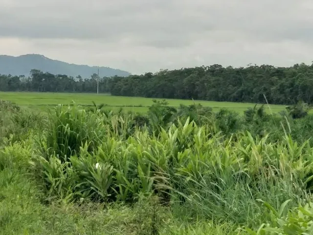 Imagem 8: Área Industrial localizada em Garuva, SC