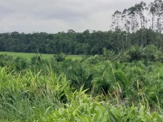 Imagem 7: Área Industrial localizada em Garuva, SC