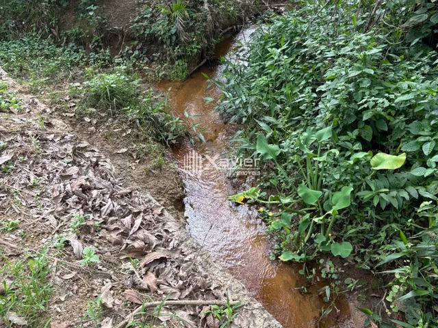 Imagem 5: Terreno Plano com Riacho na Rota da Ferradura em Guarapari - 1.000 m² com Segurança e