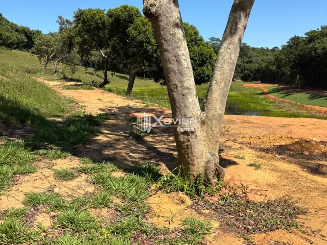 Imagem 4: Terrenos de 20.000 m² a 40.000 m² com vista para o canal em Guarapari/ES, frente para