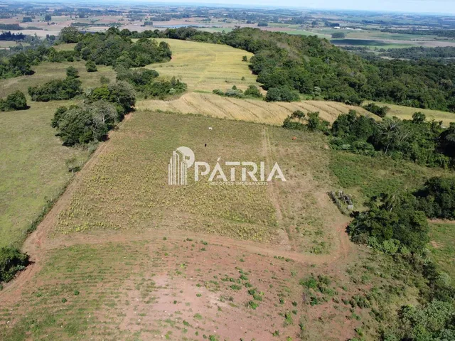 Imagem: 7,7 Hectáres Próximo a santa Cruz do Sul