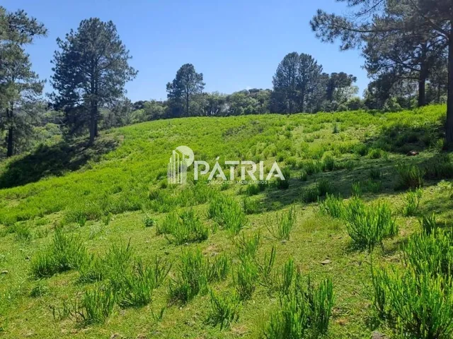 Imagem: ÁREA RURAL EM BOA VISTA, SANTA CRUZ DO