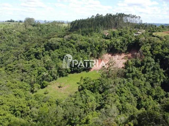Imagem: 25 HECTARES DE ÁREA DE TERRA, LINHA NOVA