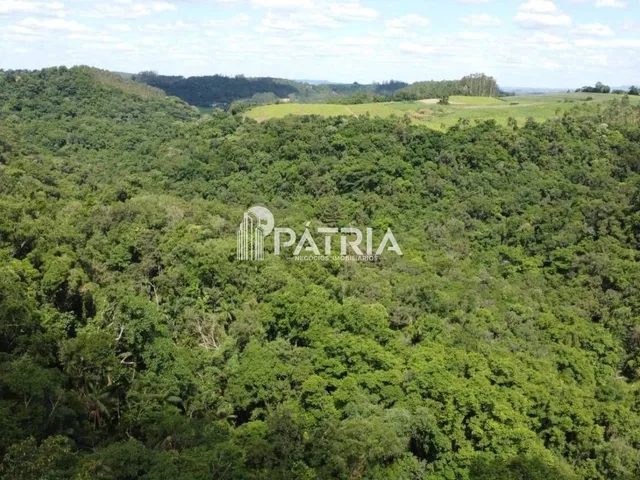 Imagem 8: 25 HECTARES DE ÁREA DE TERRA, LINHA NOVA, SANTA CRUZ DO SUL