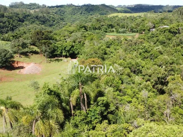 Imagem 6: 25 HECTARES DE ÁREA DE TERRA, LINHA NOVA, SANTA CRUZ DO SUL