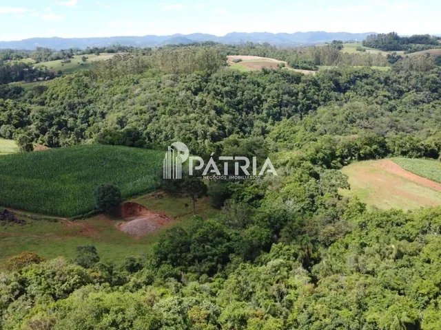 Imagem 7: 25 HECTARES DE ÁREA DE TERRA, LINHA NOVA, SANTA CRUZ DO SUL