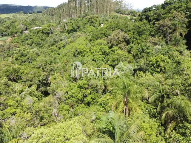 Imagem 9: 25 HECTARES DE ÁREA DE TERRA, LINHA NOVA, SANTA CRUZ DO SUL