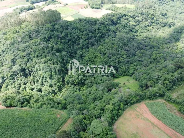 Imagem 4: 25 HECTARES DE ÁREA DE TERRA, LINHA NOVA, SANTA CRUZ DO SUL