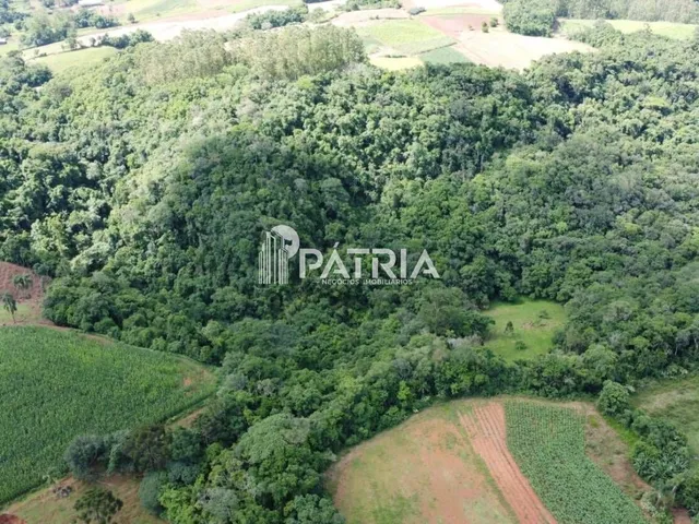 Imagem 5: 25 HECTARES DE ÁREA DE TERRA, LINHA NOVA, SANTA CRUZ DO SUL