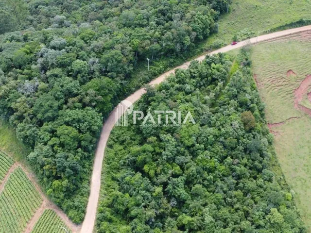 Imagem 2: 25 HECTARES DE ÁREA DE TERRA, LINHA NOVA, SANTA CRUZ DO SUL