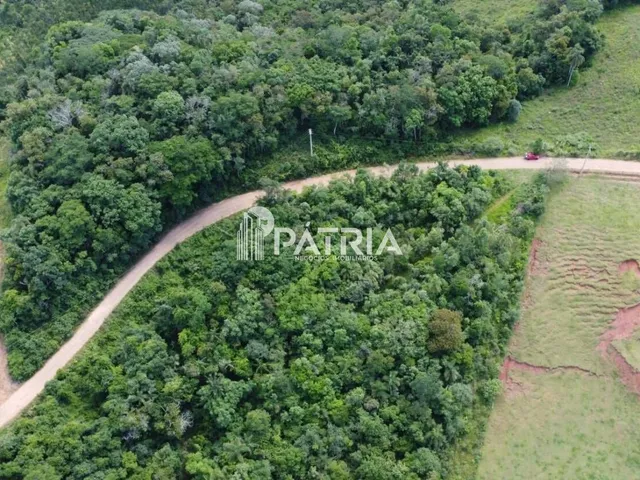 Imagem 3: 25 HECTARES DE ÁREA DE TERRA, LINHA NOVA, SANTA CRUZ DO SUL