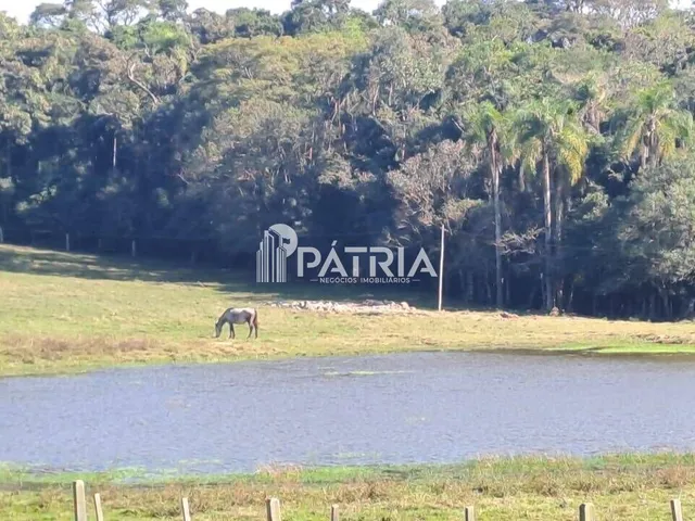 Imagem: ÁREA RURAL, IDEAL PARA CHACÁCARA, EM PINHEIRAL