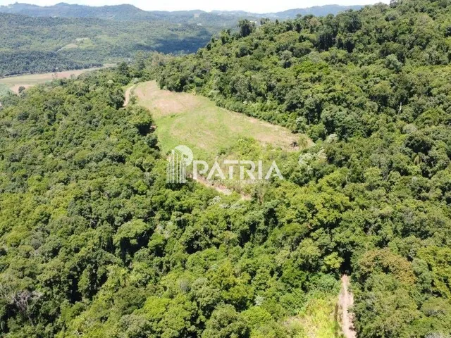 Imagem: Área P/ Loteamento com Bela Vista para