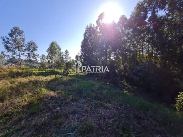 Imagem 5: TERRENO COMERCIAL NA RS 287, EM VERA CRUZ