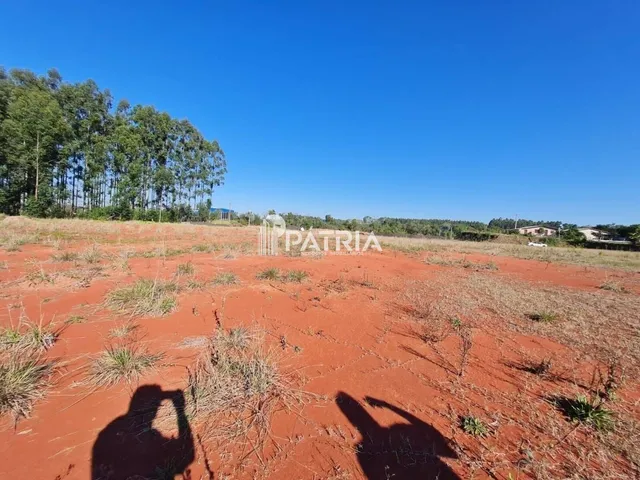 Imagem 9: TERRENO COMERCIAL NA RS 287, EM VERA CRUZ
