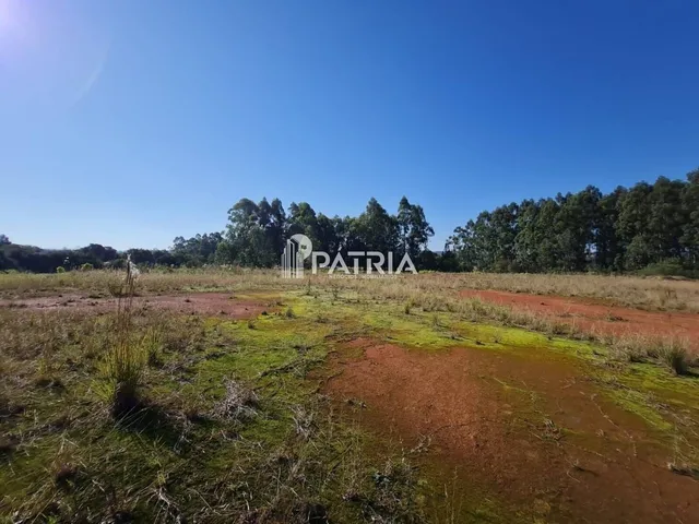Imagem 16: TERRENO COMERCIAL NA RS 287, EM VERA CRUZ