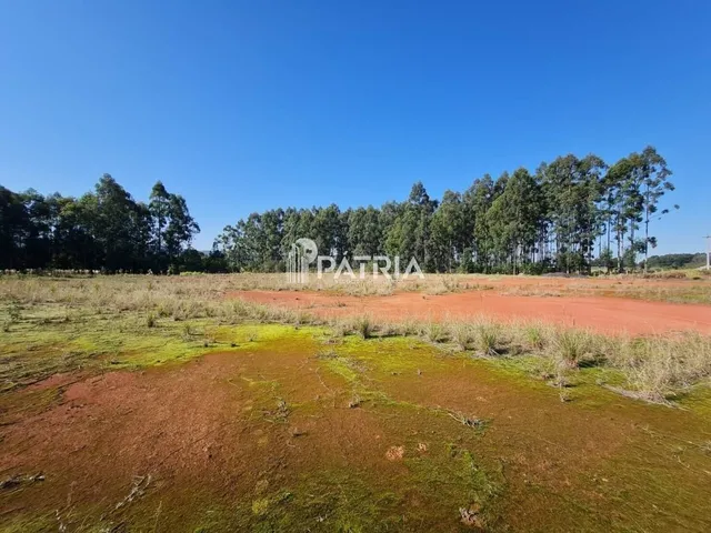 Imagem 13: TERRENO COMERCIAL NA RS 287, EM VERA CRUZ