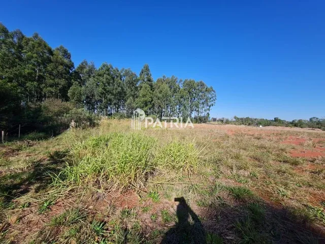 Imagem 11: TERRENO COMERCIAL NA RS 287, EM VERA CRUZ