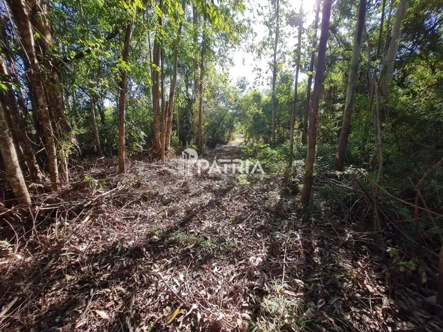 Imagem 10: TERRENO COMERCIAL NA RS 287, EM VERA CRUZ