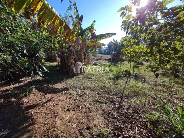 Imagem 12: TERRENO COMERCIAL NA RS 287, EM VERA CRUZ