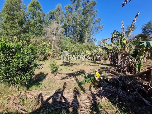 Imagem 14: TERRENO COMERCIAL NA RS 287, EM VERA CRUZ