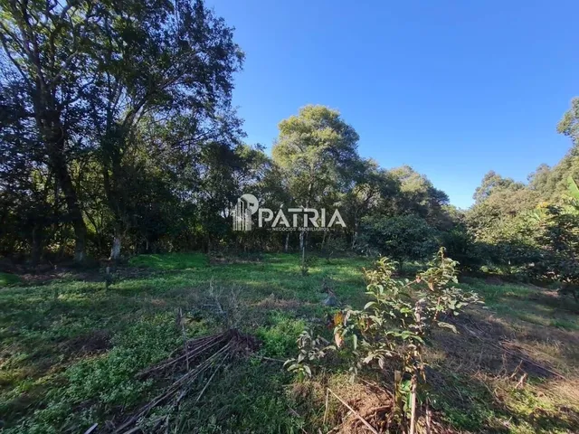 Imagem 7: TERRENO COMERCIAL NA RS 287, EM VERA CRUZ