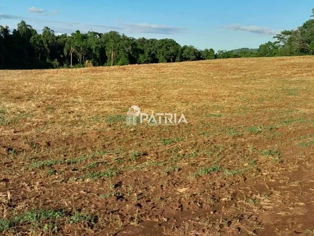 Imagem: 6 Hectares de Area de Terra