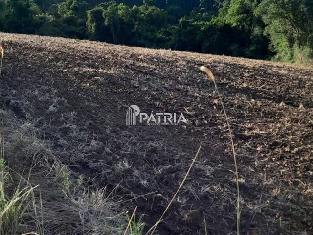 Imagem 2: 6 Hectares de Area de Terra