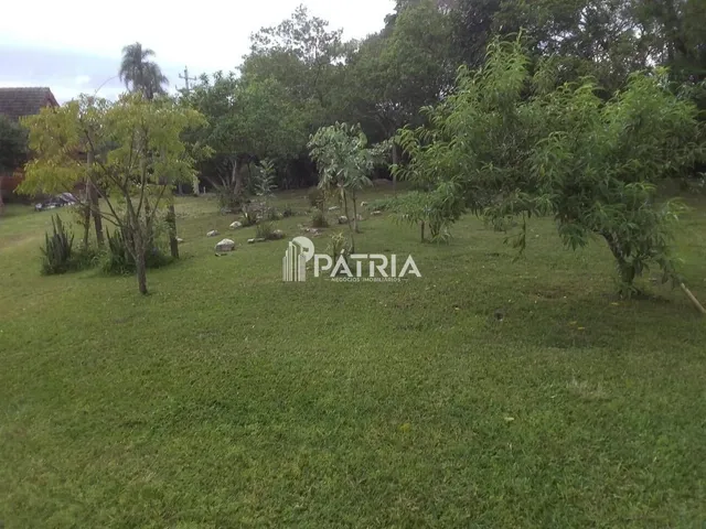 Imagem 8: 6 Hectares de Area de Terra