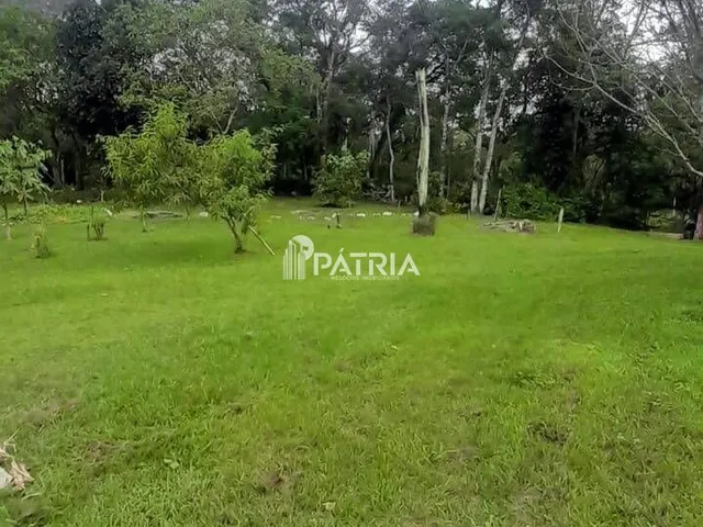 Imagem 6: 6 Hectares de Area de Terra