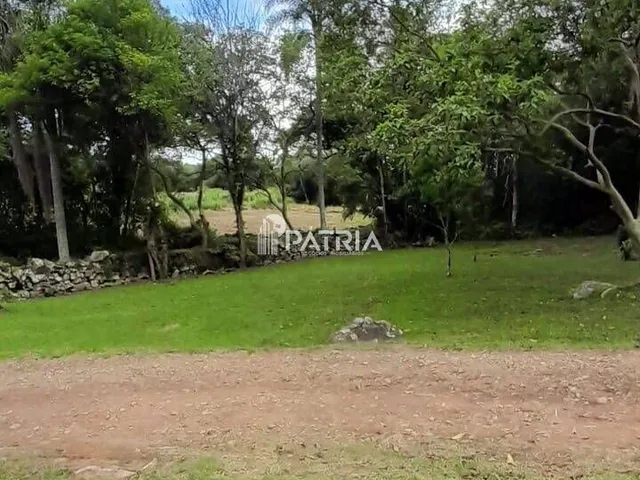 Imagem 7: 6 Hectares de Area de Terra