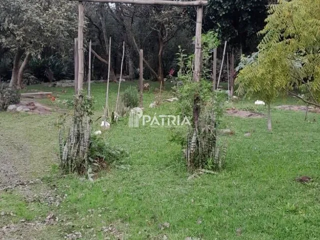 Imagem 10: 6 Hectares de Area de Terra