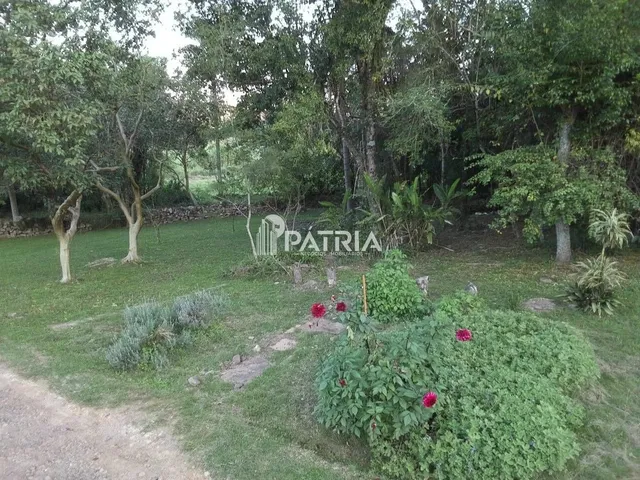 Imagem 11: 6 Hectares de Area de Terra