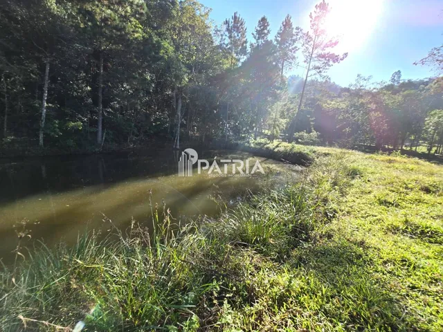 Imagem 2: Chácara ou Áreas de Terra Linha Nova