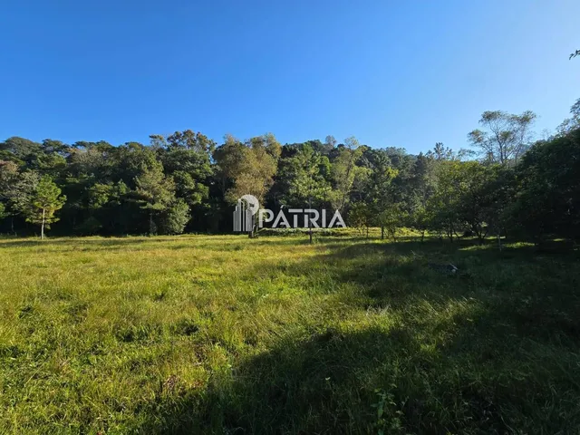 Imagem 16: Chácara ou Áreas de Terra Linha Nova