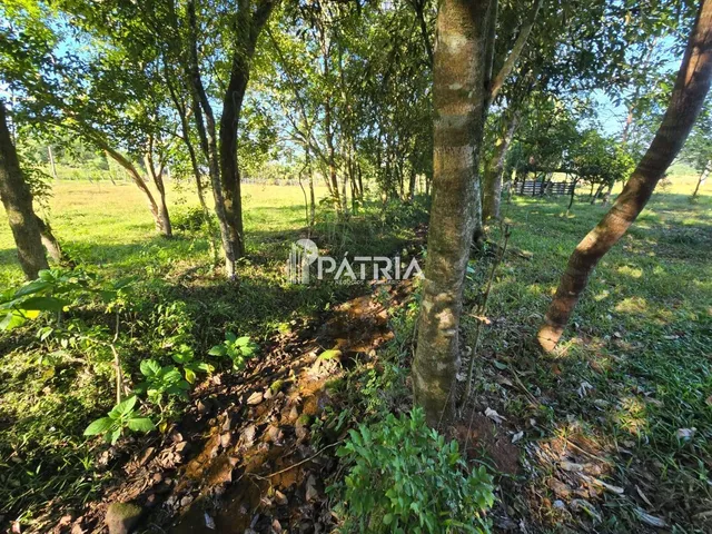 Imagem 8: Chácara ou Áreas de Terra Linha Nova