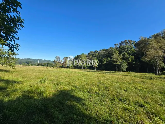 Imagem 7: Chácara ou Áreas de Terra Linha Nova