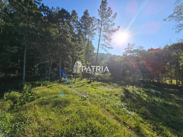 Imagem 15: Chácara ou Áreas de Terra Linha Nova