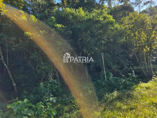 Imagem 12: Chácara ou Áreas de Terra Linha Nova