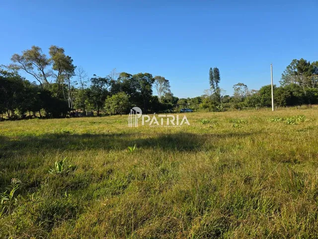 Imagem 4: Chácara ou Áreas de Terra Linha Nova
