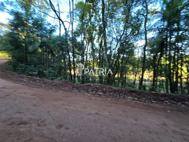 Imagem 14: Chácara ou Áreas de Terra Linha Nova