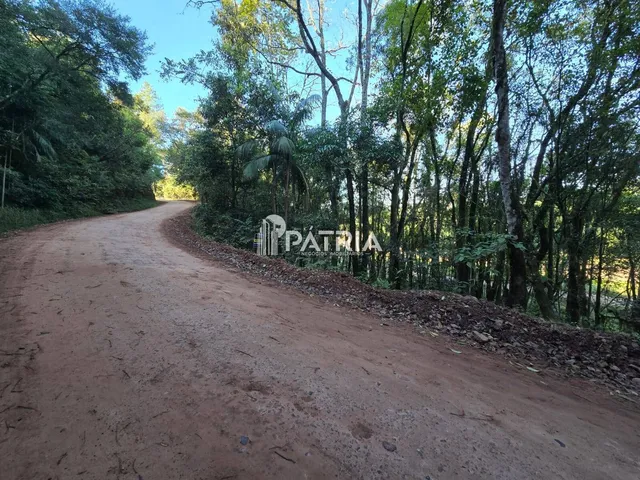 Imagem 5: Chácara ou Áreas de Terra Linha Nova