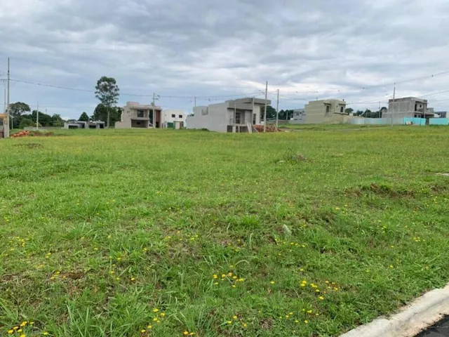 Imagem 6: TERRENO RESIDENCIAL em Ponta Grossa - PR, Colônia Dona Luíza