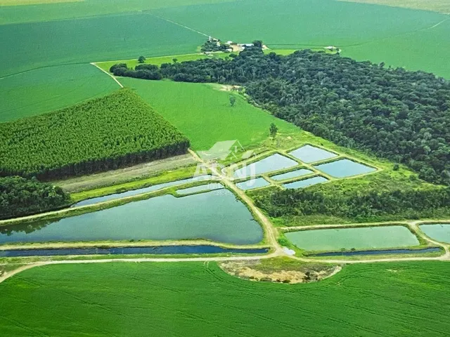 Imagem: A fazenda possui 985m² de Área e está localizado em