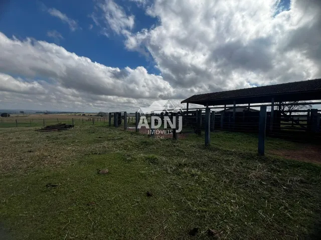 Imagem: Fazenda à venda em Umuarama - PR com 35,00