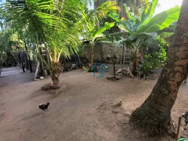 Imagem 2: OPORTUNIDADE CASA COM PONTO COMERCIAL EM NOSSA SENHORA DA APRESENTAÇÃO,NATAL RN / A