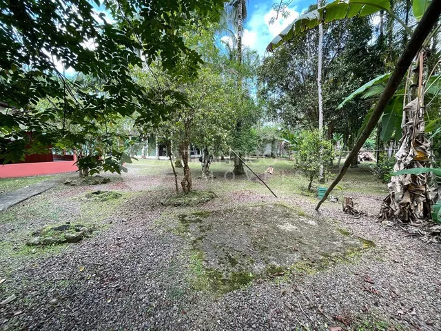 Imagem 6: Chácara à venda, contendo 3 residências Rio do Nunes, ANTONINA - PR