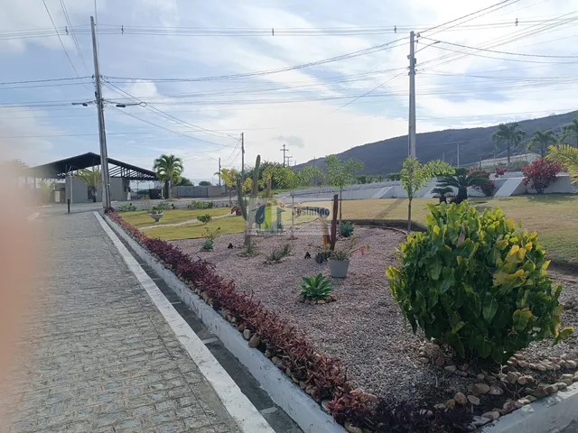 Imagem 15: Loteamento Rei David Condominio Club/ Bezerros